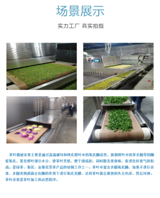 微波烘干技术赋能花卉产业 高效杀青与广泛应用的干燥新方案