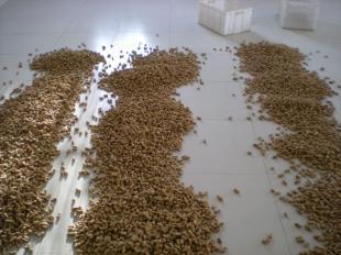 微波干燥设备 高效节能的现代工业烘干解决方案